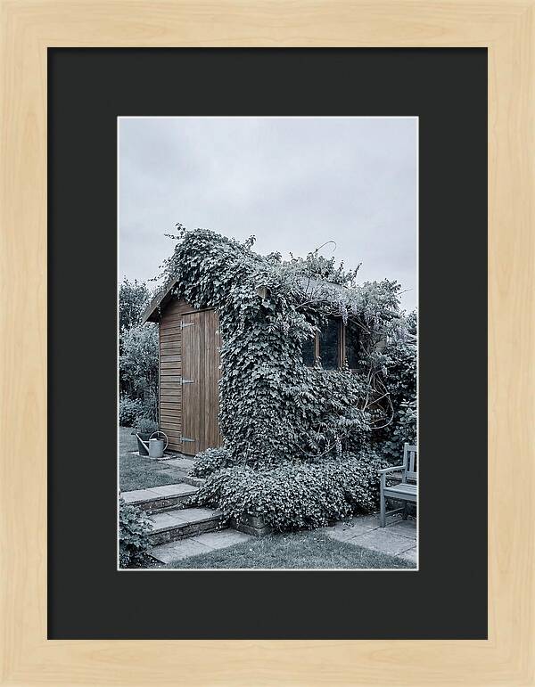 Garden Shed Embraced By Nature