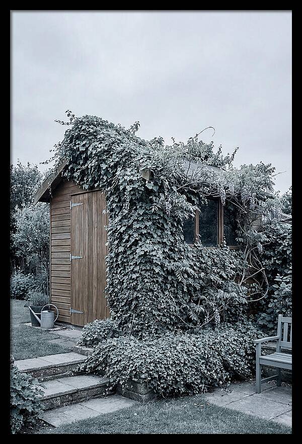 Garden Shed Embraced By Nature