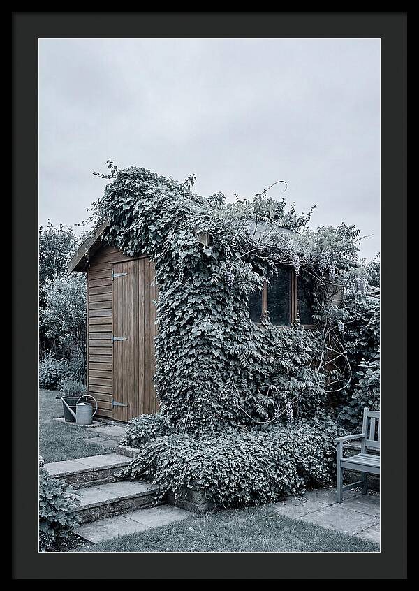 Garden Shed Embraced By Nature