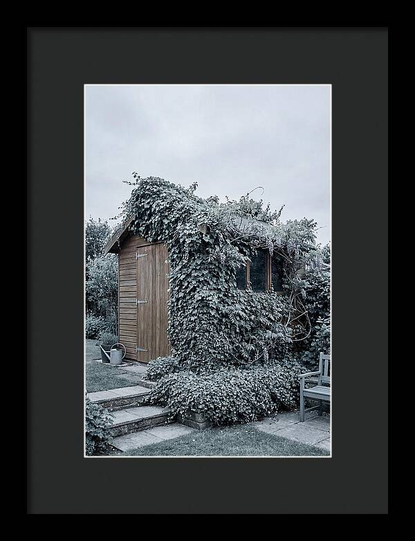 Garden Shed Embraced By Nature