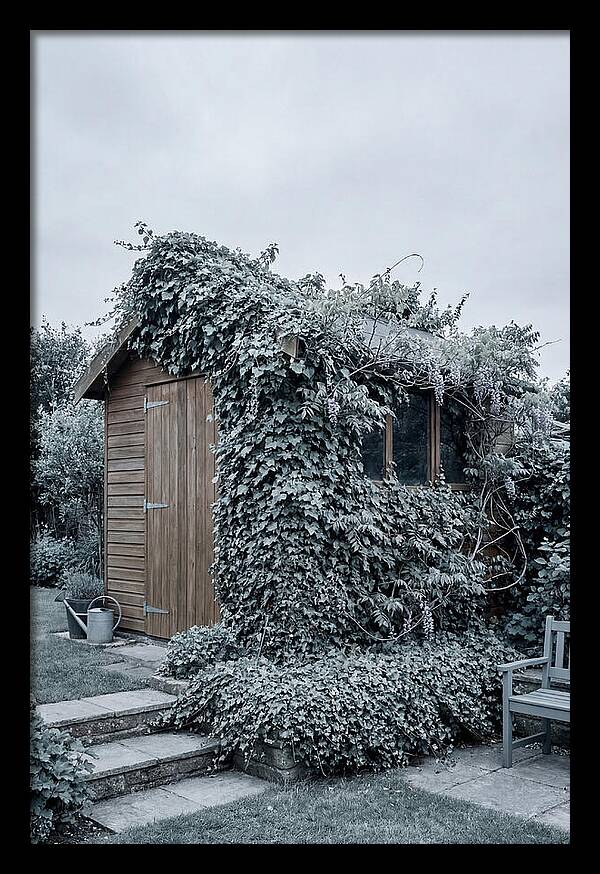 Garden Shed Embraced By Nature