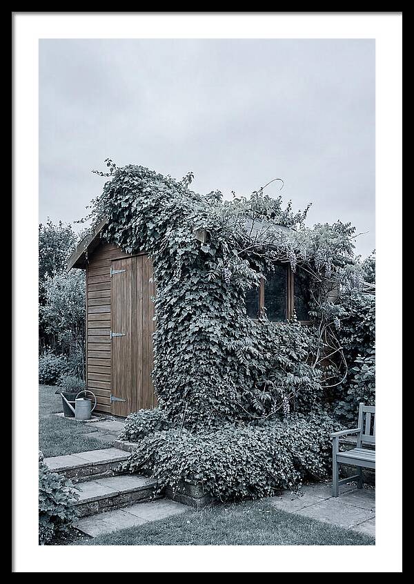 Garden Shed Embraced By Nature