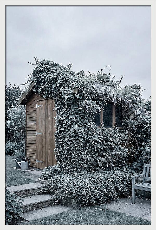 Garden Shed Embraced By Nature