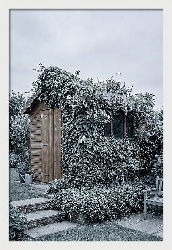 Garden Shed Embraced By Nature
