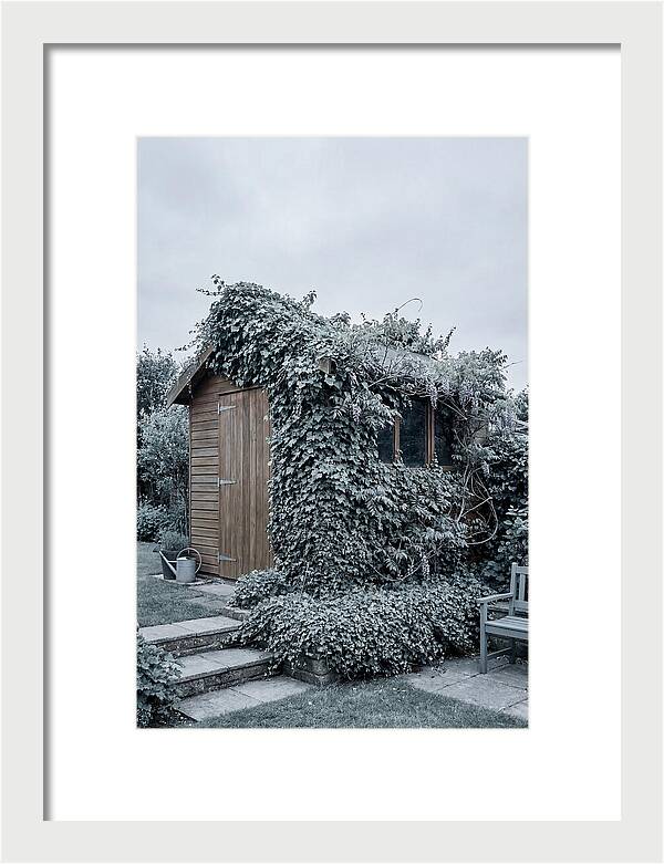 Garden Shed Embraced By Nature