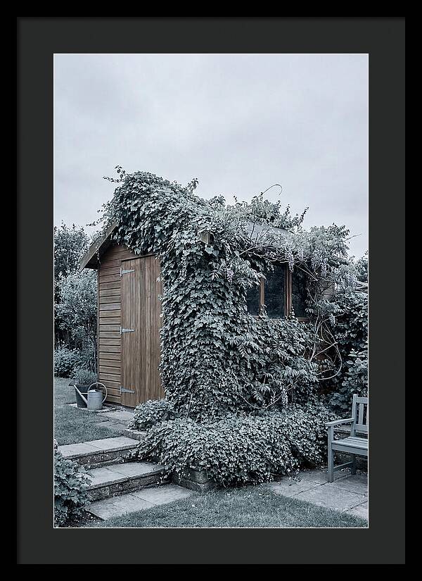 Garden Shed Embraced By Nature