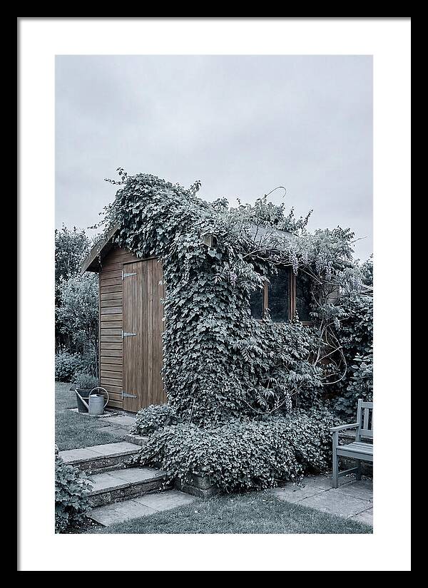 Garden Shed Embraced By Nature