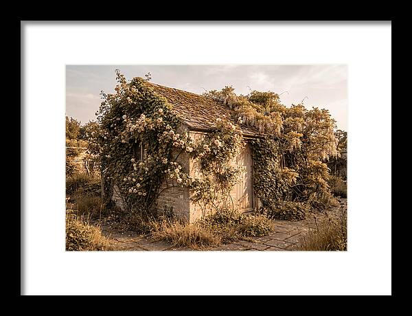 Garden Shed Hidden By Vines