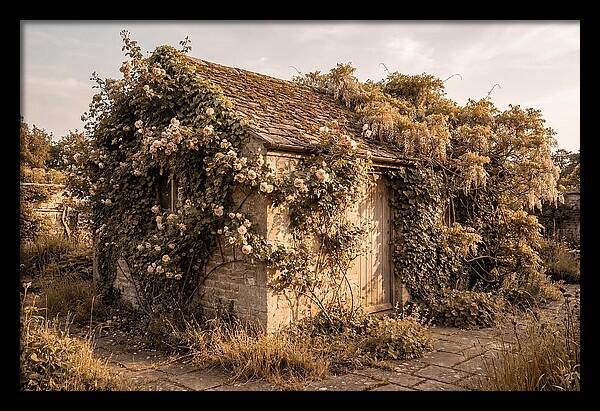 Garden Shed Hidden By Vines