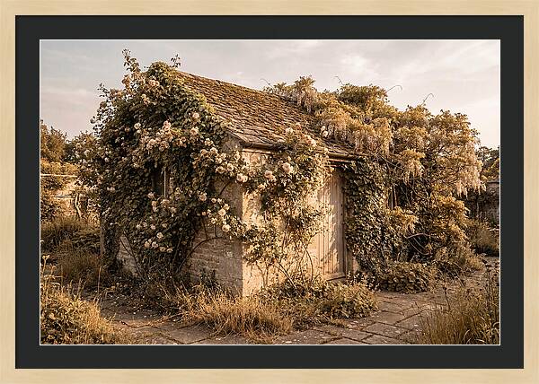Garden Shed Hidden By Vines