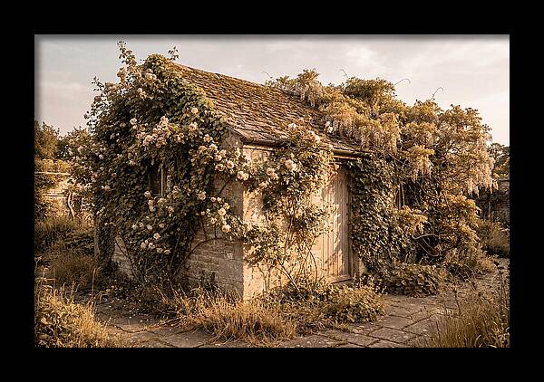 Garden Shed Hidden By Vines