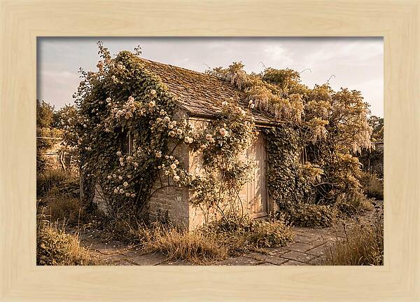 Garden Shed Hidden By Vines
