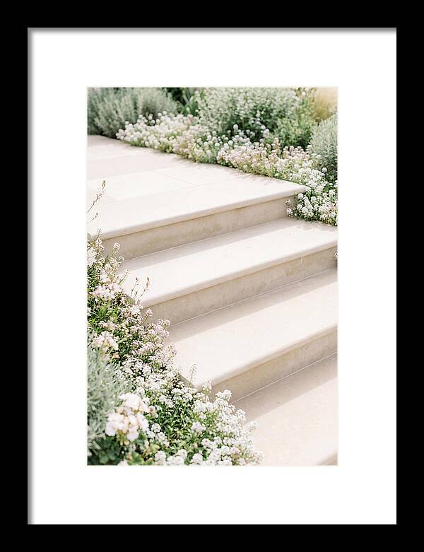 Garden Steps Surrounded By Blooms