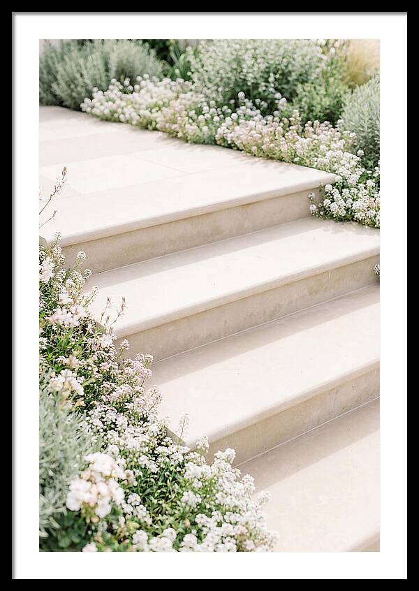 Garden Steps Surrounded By Blooms