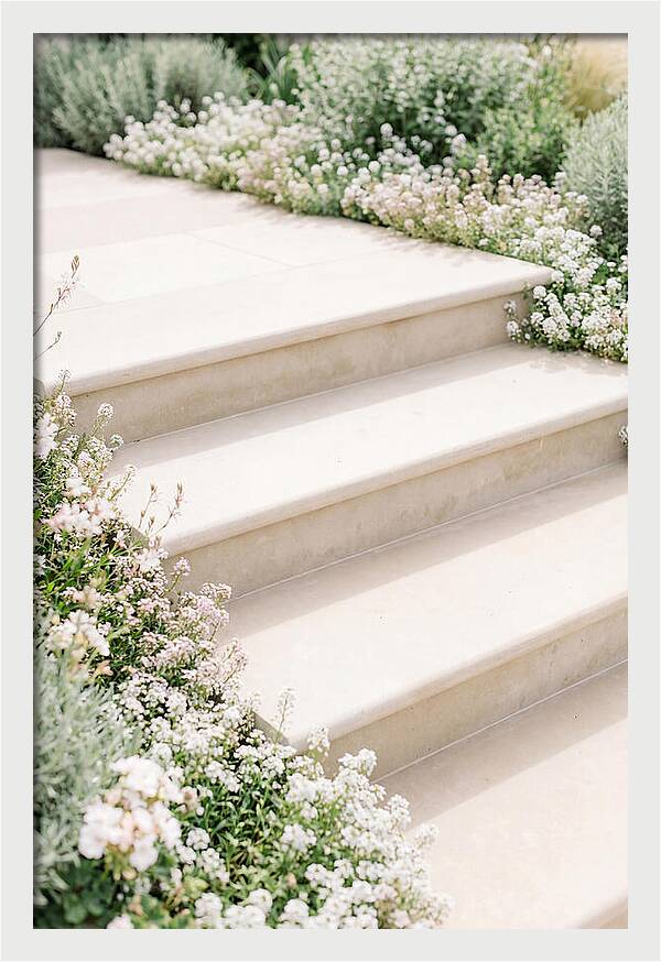 Garden Steps Surrounded By Blooms