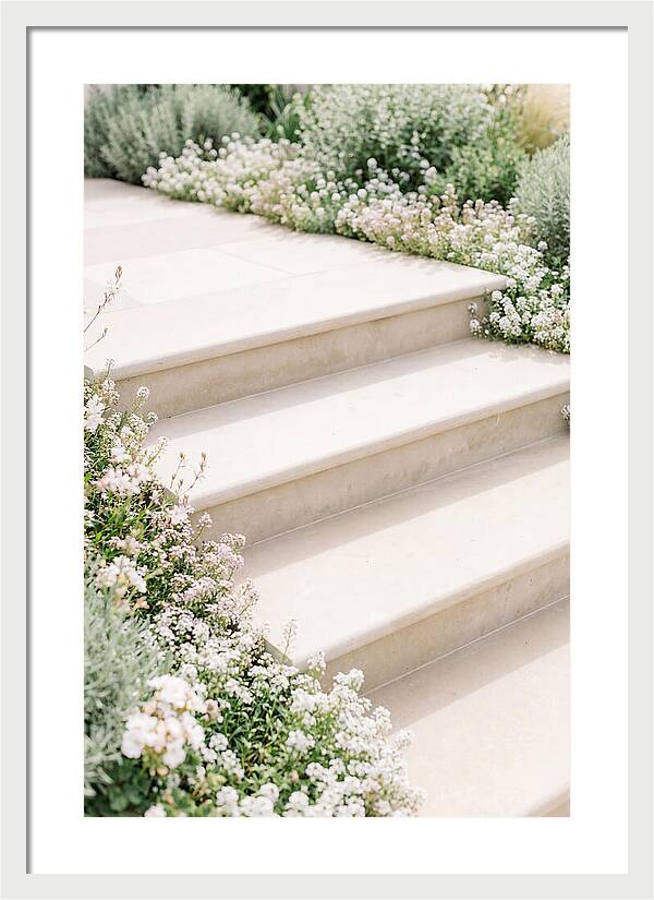 Garden Steps Surrounded By Blooms