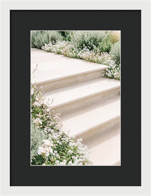 Garden Steps Surrounded By Blooms