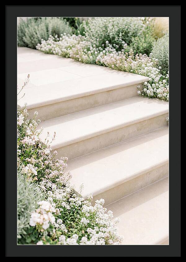 Garden Steps Surrounded By Blooms