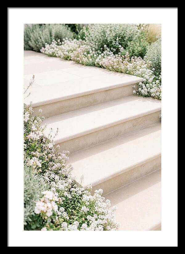 Garden Steps Surrounded By Blooms