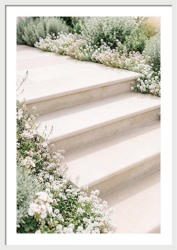 Garden Steps Surrounded By Blooms