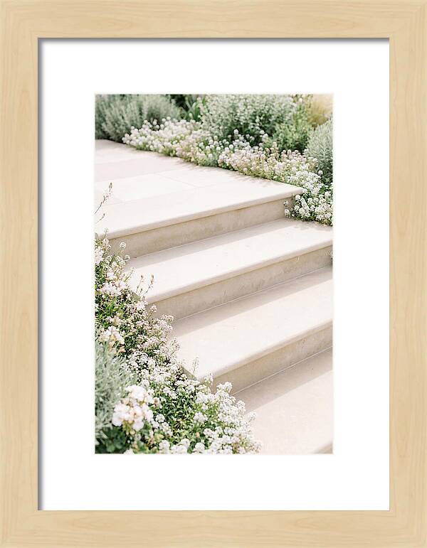 Garden Steps Surrounded By Blooms