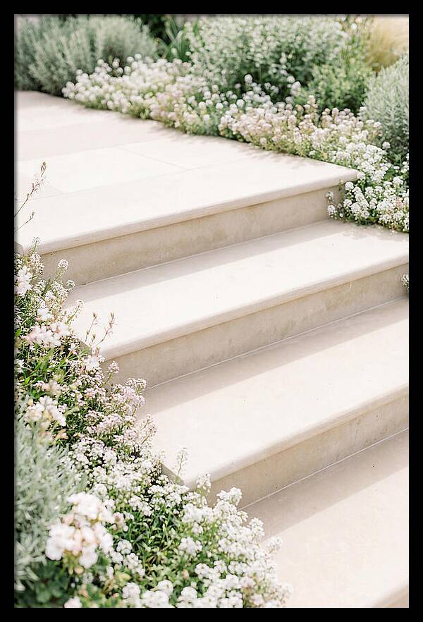 Garden Steps Surrounded By Blooms