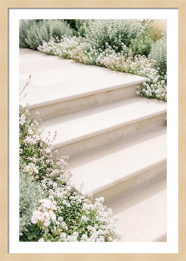 Garden Steps Surrounded By Blooms