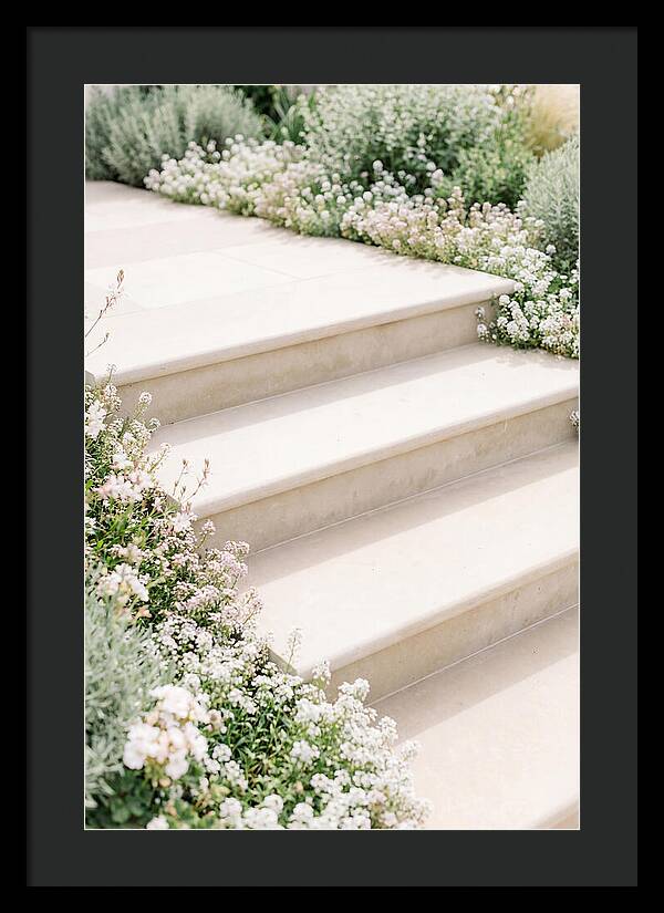 Garden Steps Surrounded By Blooms