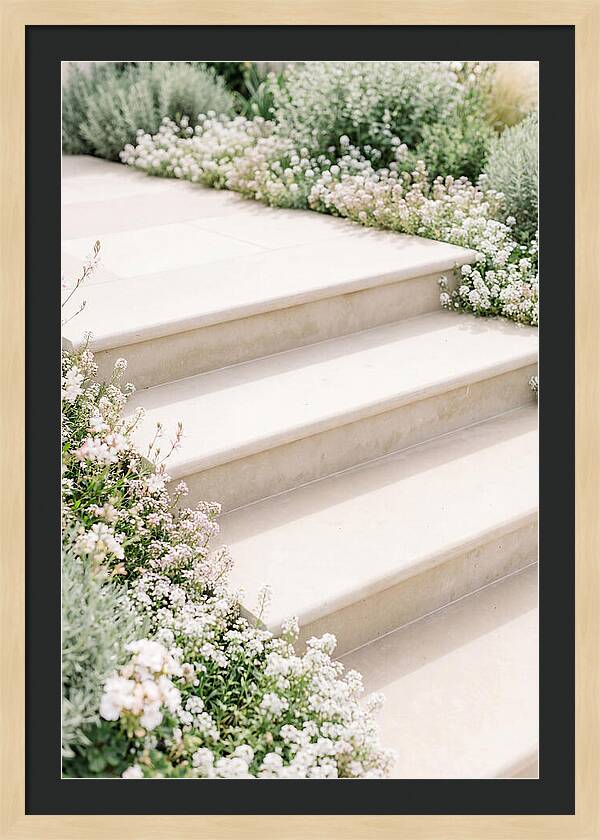 Garden Steps Surrounded By Blooms