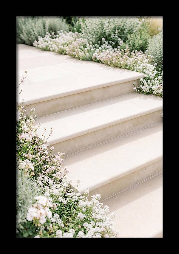 Garden Steps Surrounded By Blooms