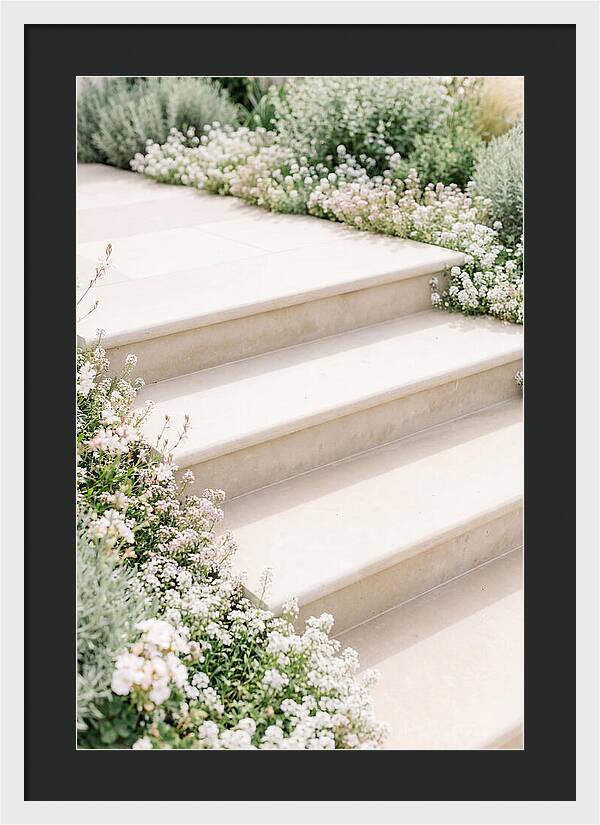 Garden Steps Surrounded By Blooms