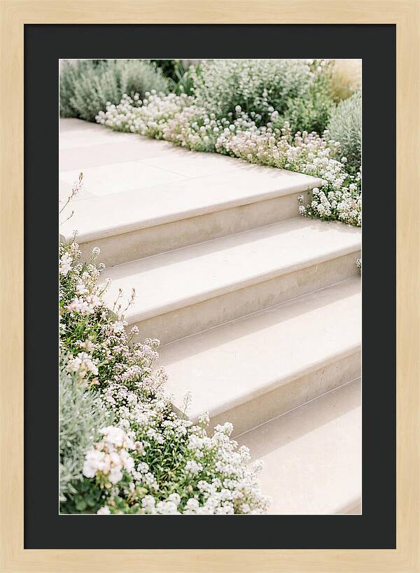 Garden Steps Surrounded By Blooms