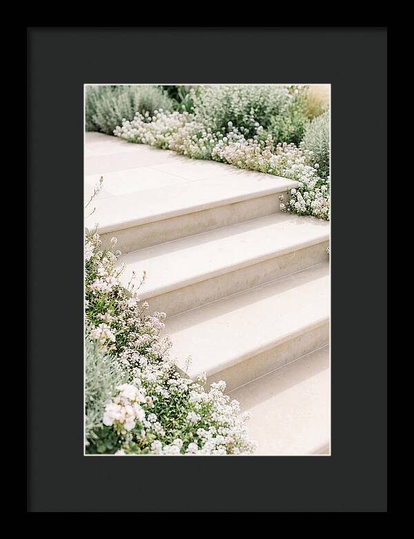 Garden Steps Surrounded By Blooms