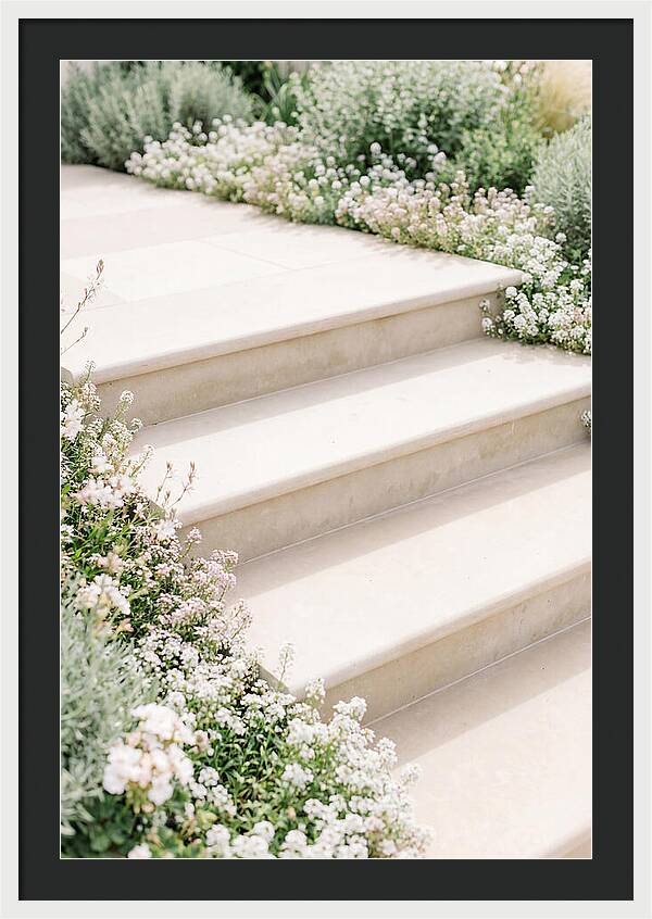 Garden Steps Surrounded By Blooms