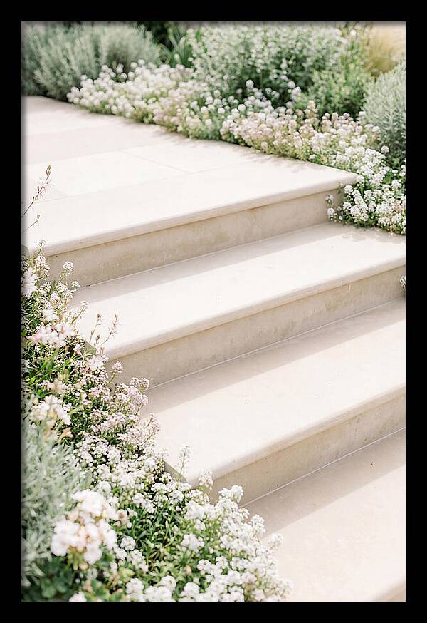 Garden Steps Surrounded By Blooms