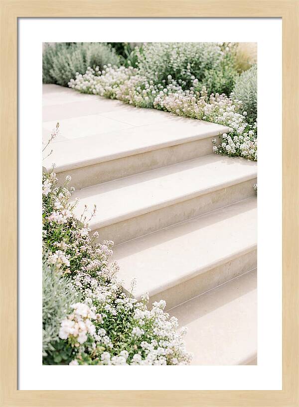 Garden Steps Surrounded By Blooms
