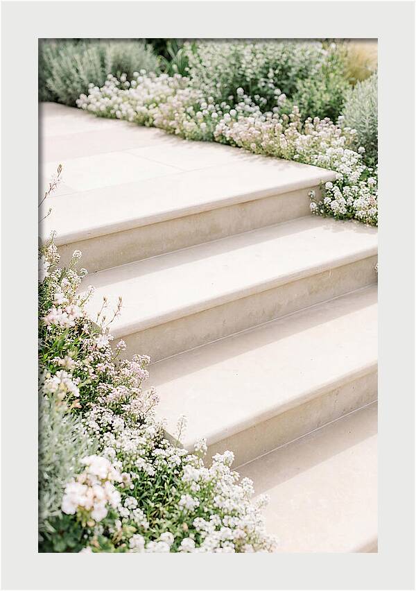 Garden Steps Surrounded By Blooms