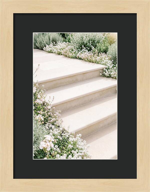 Garden Steps Surrounded By Blooms