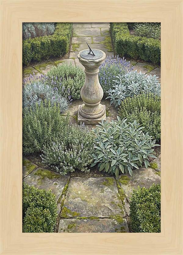 Garden Sundial Amidst Herbs