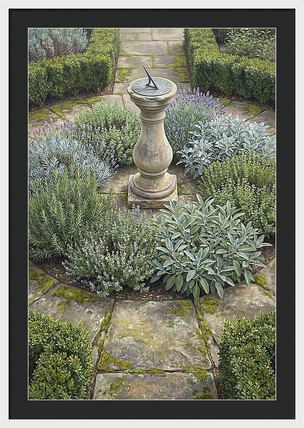 Garden Sundial Amidst Herbs
