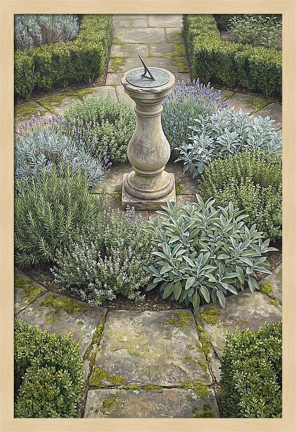 Garden Sundial Amidst Herbs