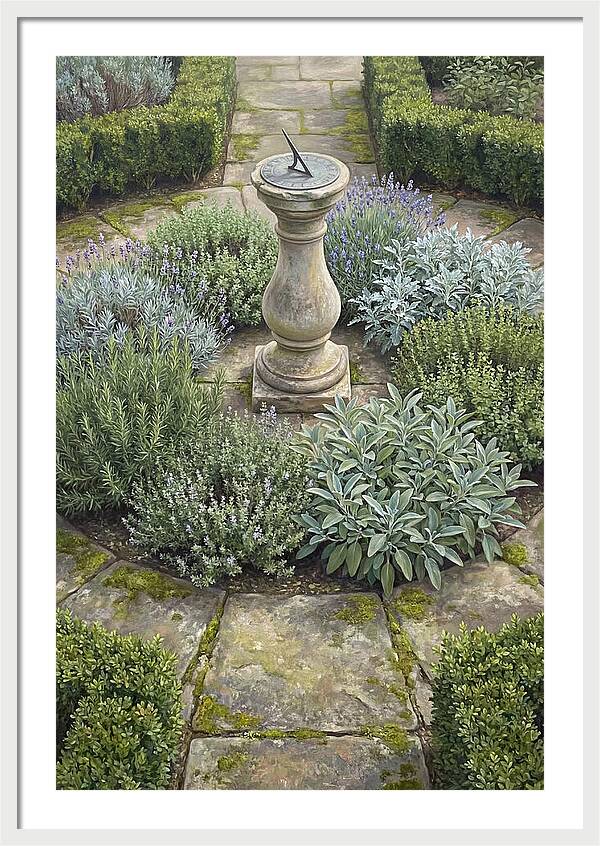 Garden Sundial Amidst Herbs