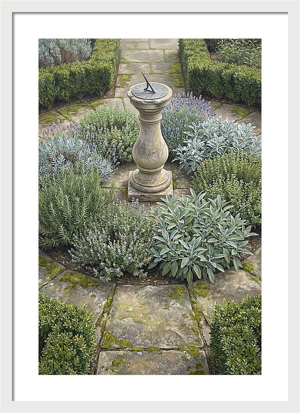 Garden Sundial Amidst Herbs