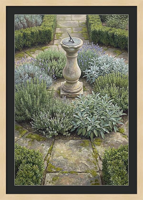 Garden Sundial Amidst Herbs
