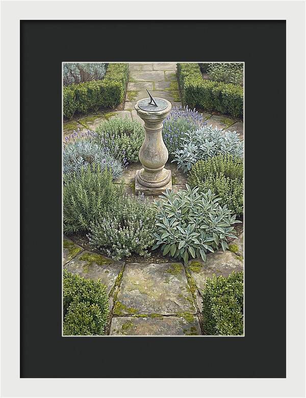 Garden Sundial Amidst Herbs