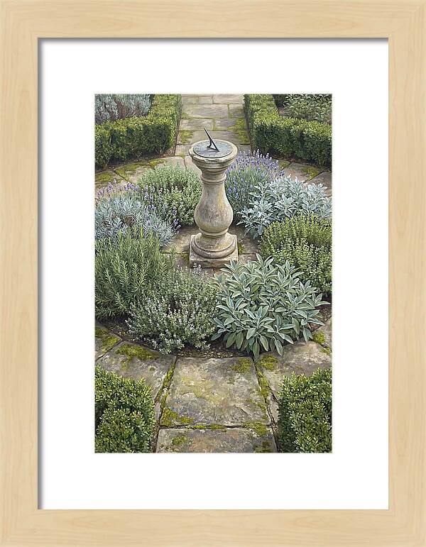 Garden Sundial Amidst Herbs