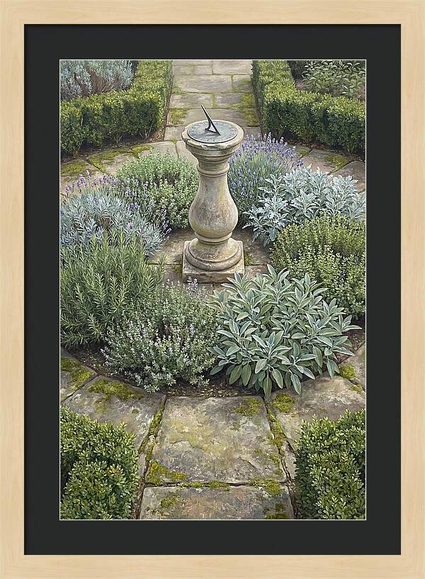 Garden Sundial Amidst Herbs