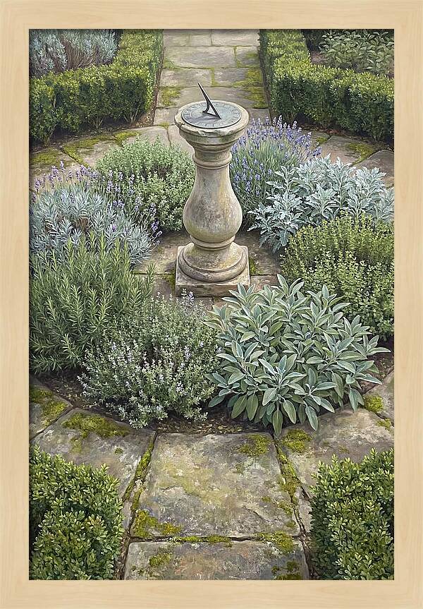Garden Sundial Amidst Herbs
