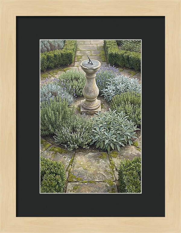 Garden Sundial Amidst Herbs