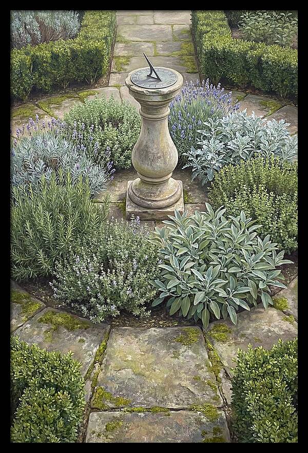 Garden Sundial Amidst Herbs